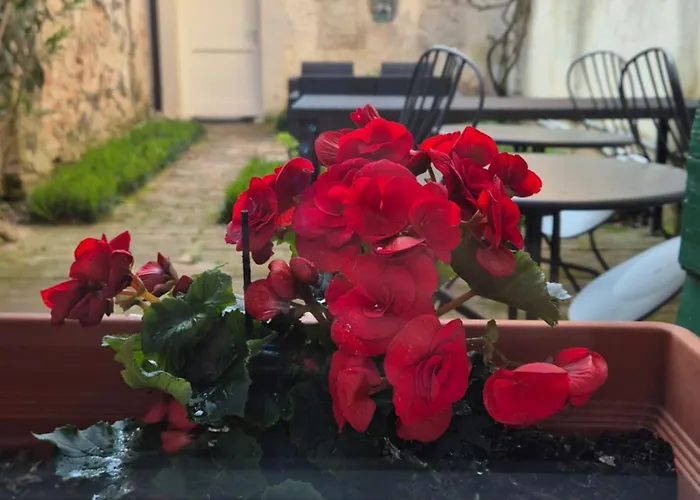 19 Borgo Cavour