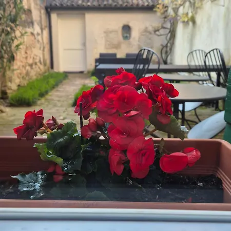 19 Borgo Cavour Bed & Breakfast Treviso Exterior photo