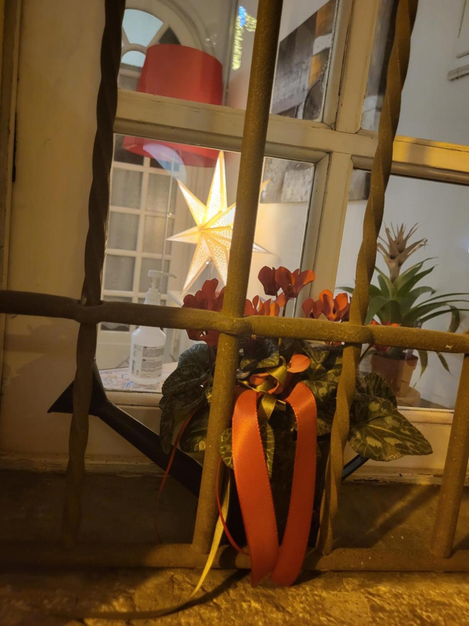 Bed & Breakfast 19 Borgo Cavour 3*