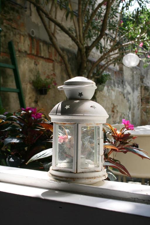 Bed & Breakfast 19 Borgo Cavour Treviso